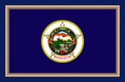 Minnesota Flag